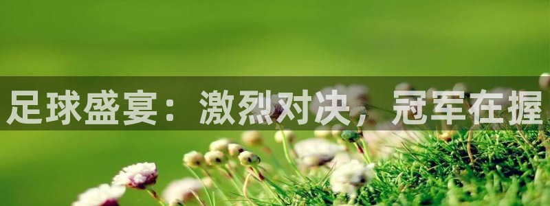 足球盛宴：激烈对决，冠军在握