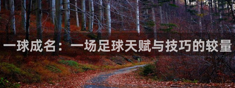  一球成名：一场足球天赋与技巧的较量