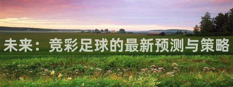  未来：竞彩足球的最新预测与策略