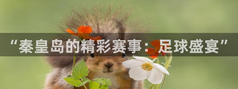  “秦皇岛的精彩赛事：足球盛宴”