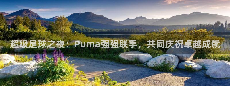  超级足球之夜：Puma强强联手，共同庆祝卓越成就