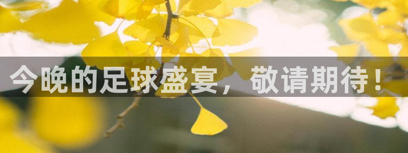  今晚的足球盛宴，敬请期待！