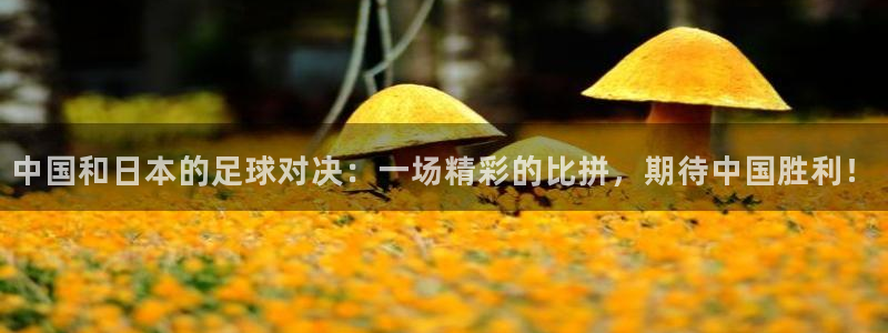中国和日本的足球对决：一场精彩的比拼，期待中国胜利！