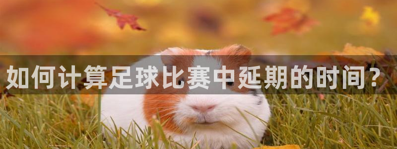  如何计算足球比赛中延期的时间？