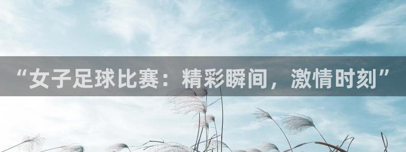  “女子足球比赛：精彩瞬间，激情时刻”