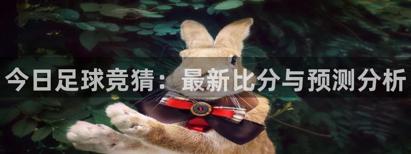  今日足球竞猜：最新比分与预测分析