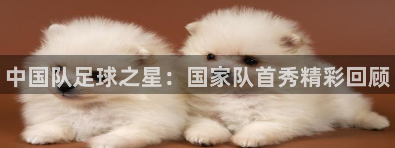  中国队足球之星：国家队首秀精彩回顾