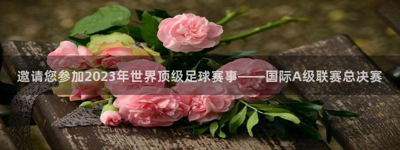 邀请您参加2023年世界顶级足球赛事——国际A级联赛总决赛