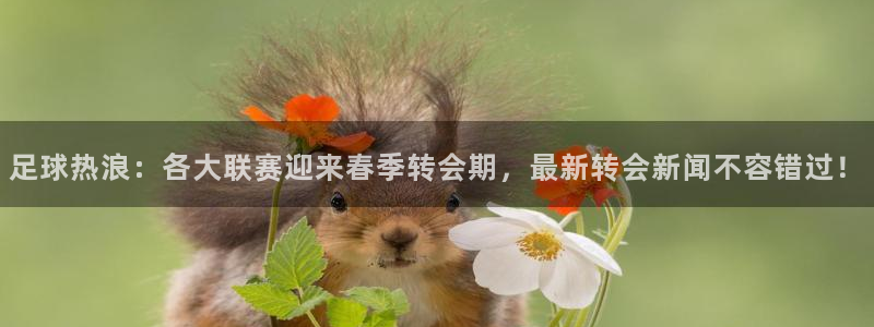  足球热浪：各大联赛迎来春季转会期，最新转会新闻不容错过！
