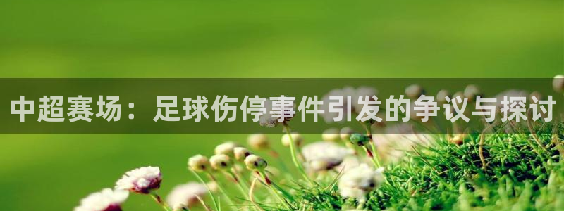  中超赛场：足球伤停事件引发的争议与探讨