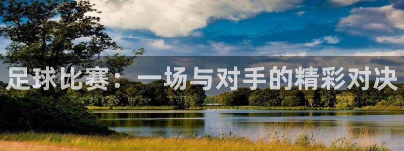  足球比赛：一场与对手的精彩对决