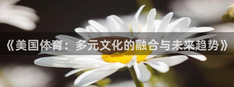 球客岛
