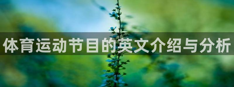 球客岛
