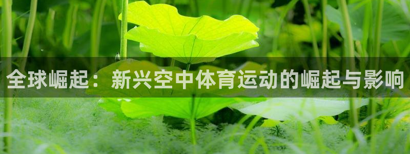 球客岛