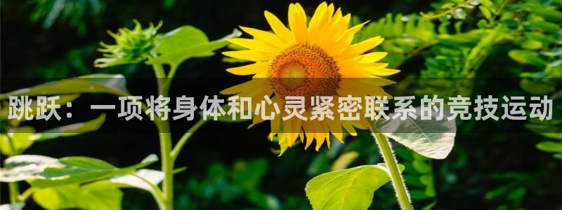球客岛