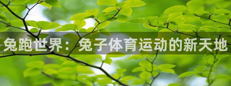 球客岛