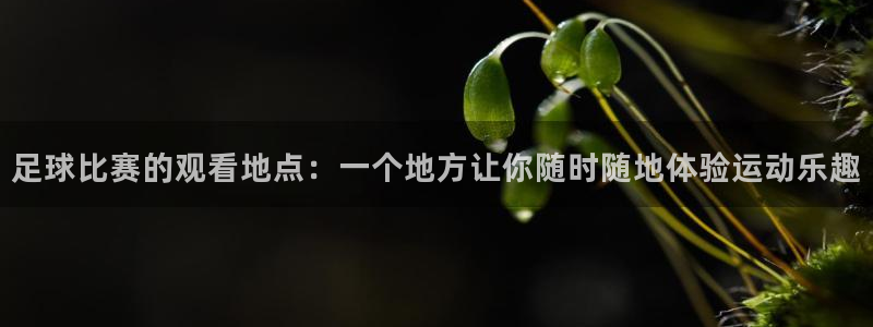足球比赛的观看地点：一个地方让你随时