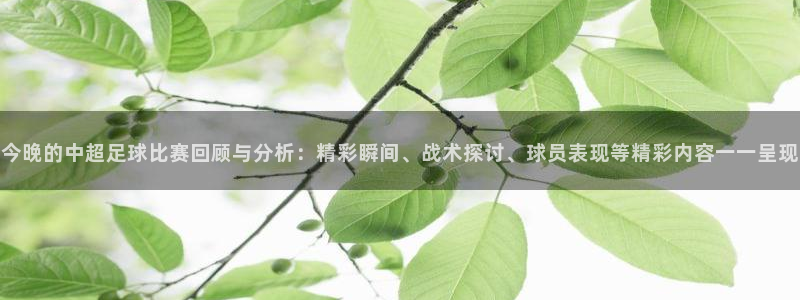 今晚的中超足球比赛回顾与分析：精彩瞬