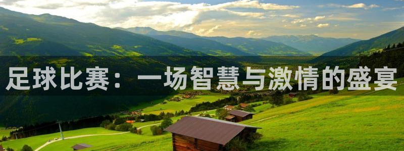 足球比赛：一场智慧与激情的盛宴