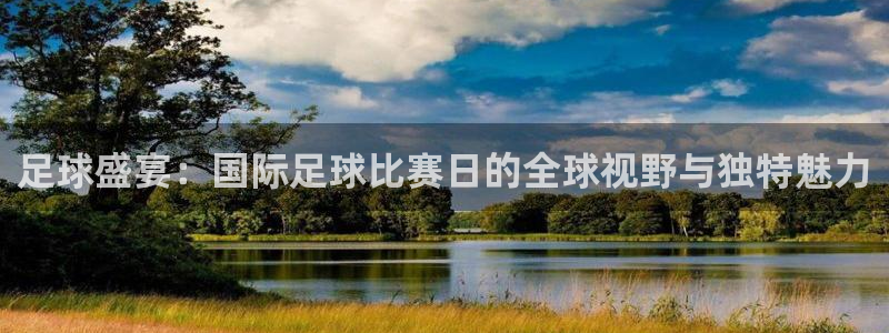 足球盛宴：国际足球比赛日的全球视野与