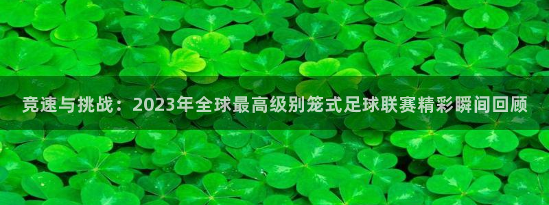竞速与挑战：2023年全球最高级别笼