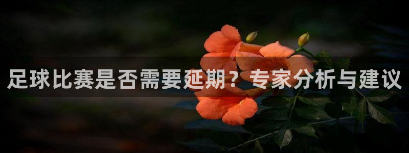 足球比赛是否需要延期？专家分析与建议