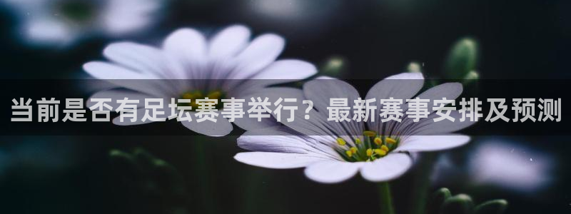 当前是否有足坛赛事举行？最新赛事安排及预测