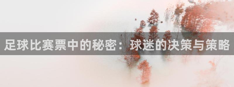  足球比赛票中的秘密：球迷的决策与策略