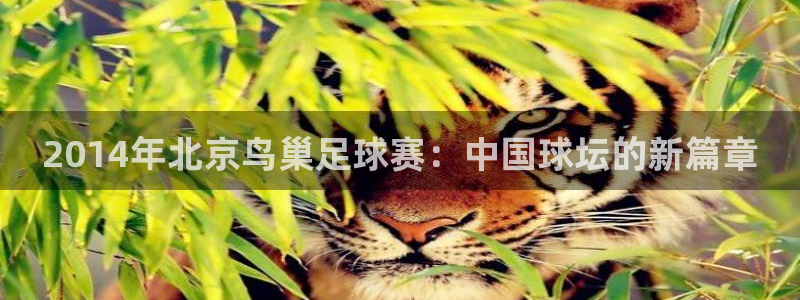 2014年北京鸟巢足球赛：中国球坛的新篇章