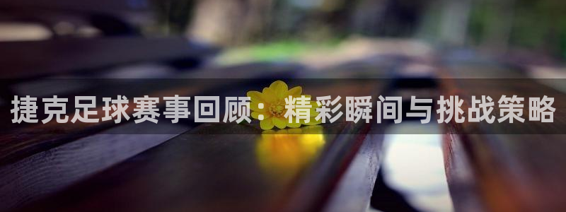  捷克足球赛事回顾：精彩瞬间与挑战策略