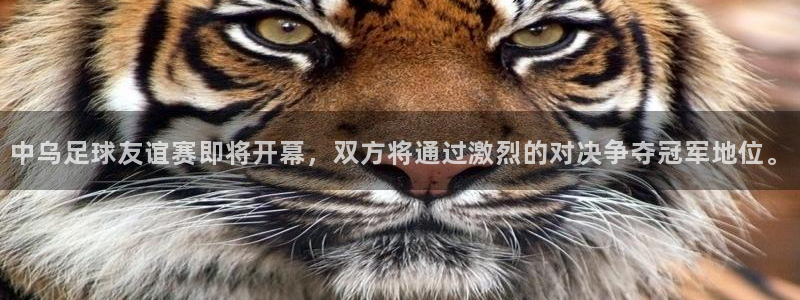 中乌足球友谊赛即将开幕，双方将通过激