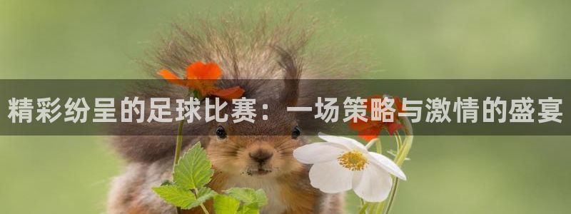 精彩纷呈的足球比赛：一场策略与激情的