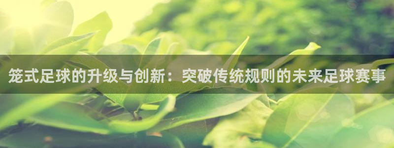 笼式足球的升级与创新：突破传统规则的