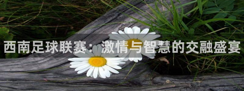 西南足球联赛：激情与智慧的交融盛宴