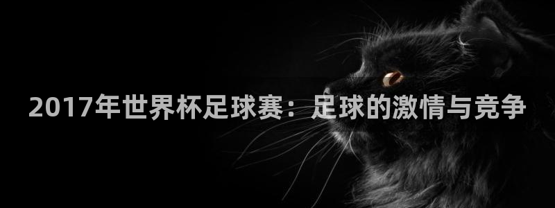 2017年世界杯足球赛：足球的激情与
