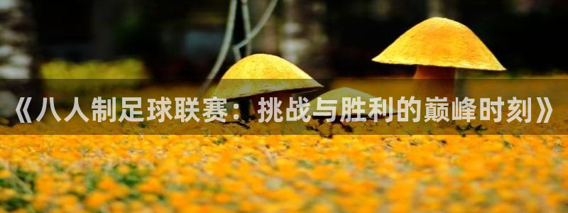 《八人制足球联赛：挑战与胜利的巅峰时