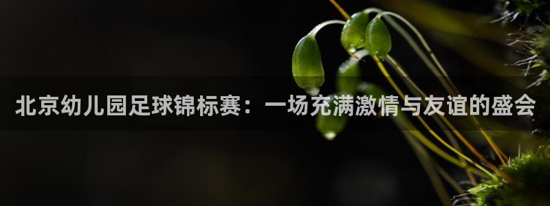 北京幼儿园足球锦标赛：一场充满激情与