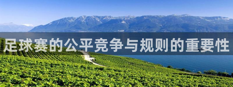 足球赛的公平竞争与规则的重要性